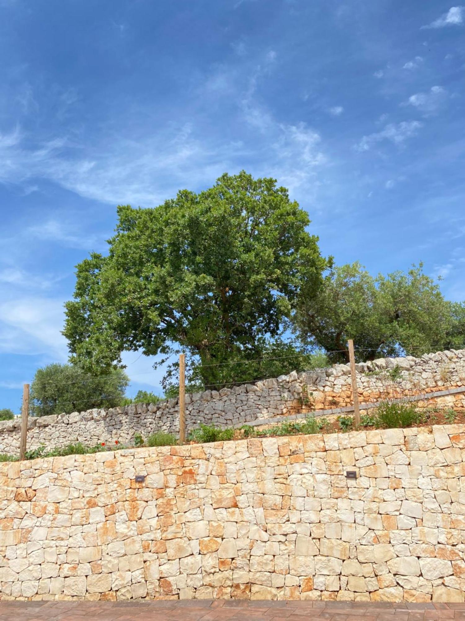 Apartamento Trulli Mbs By Apulia Hospitality Locorotondo Exterior foto