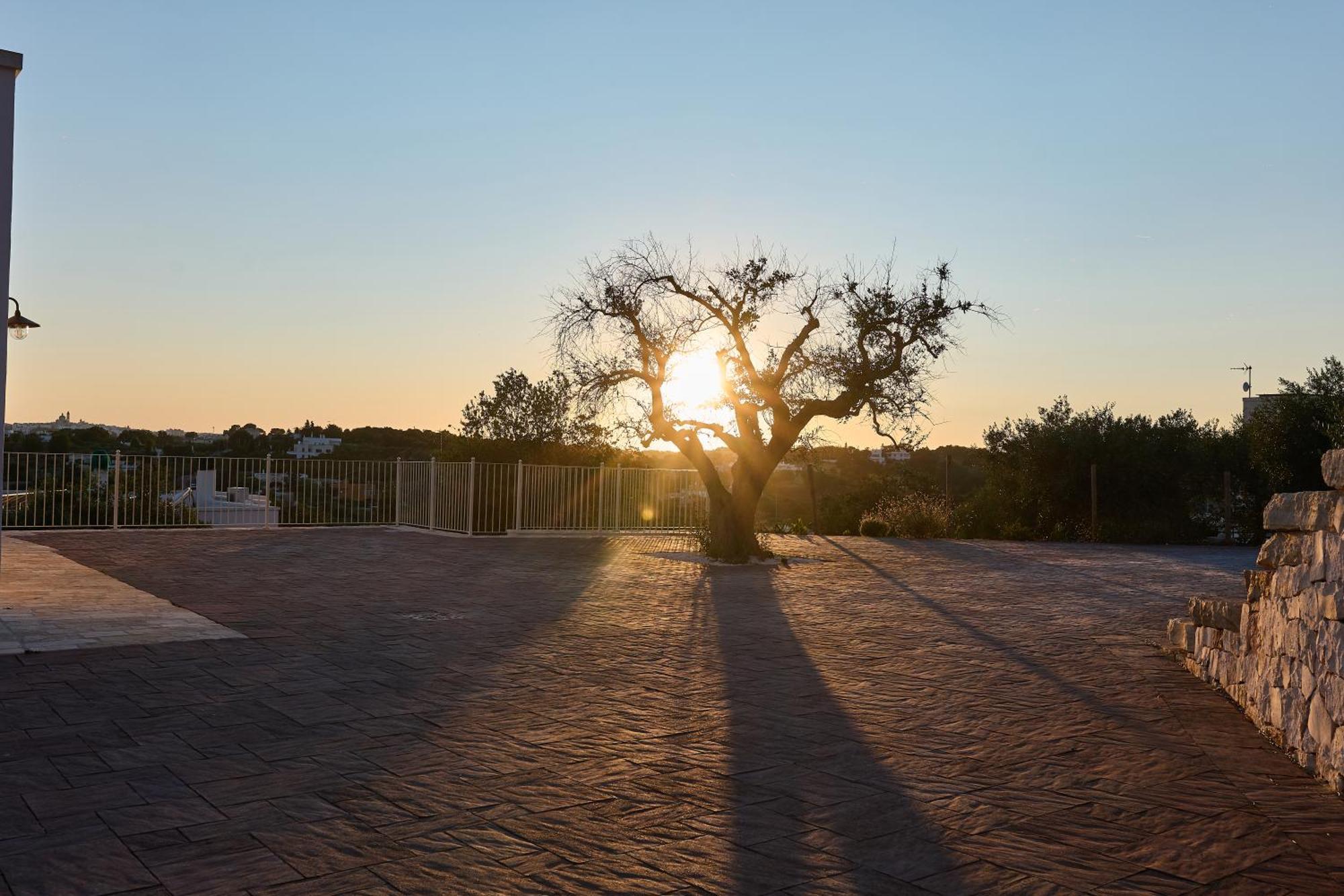 Apartamento Trulli Mbs By Apulia Hospitality Locorotondo Exterior foto
